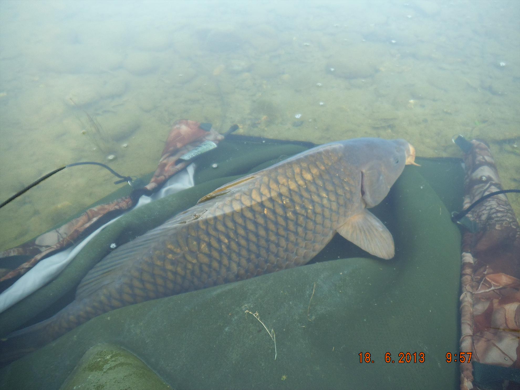 florian tanasa - ce frumos e cind ii dai drumul in apa dupa ce ai facut o fotografie